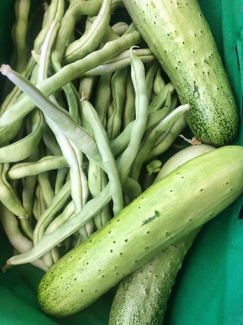 自己种的纯天然的绿色蔬菜 #纯天然绿色食品 #一份耕耘一份